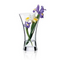 RONA FLORERO AMBIENTE Art. No. 5211 250  Vase  H 250 mm 9 ¾ "" D 151 mm 6 "